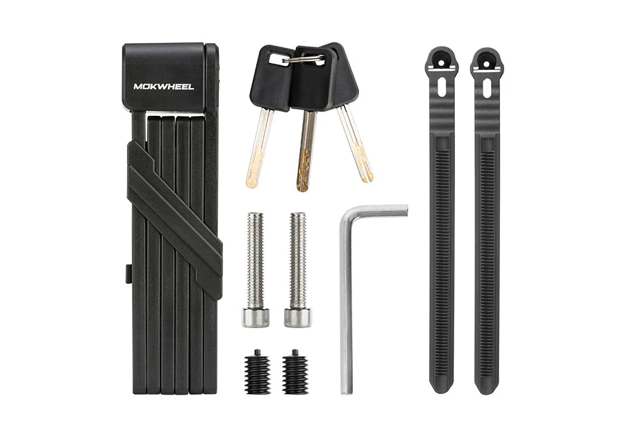 Folding Lock - Image 9